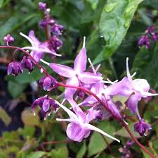images (6)