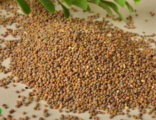 semen cuscutae extract 425
